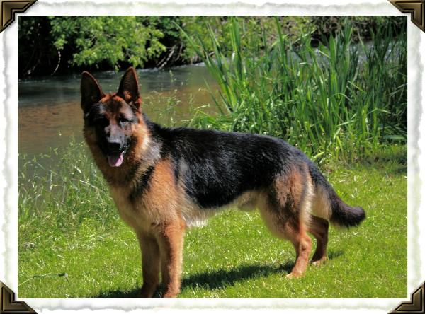 Bastian at the swimming hole