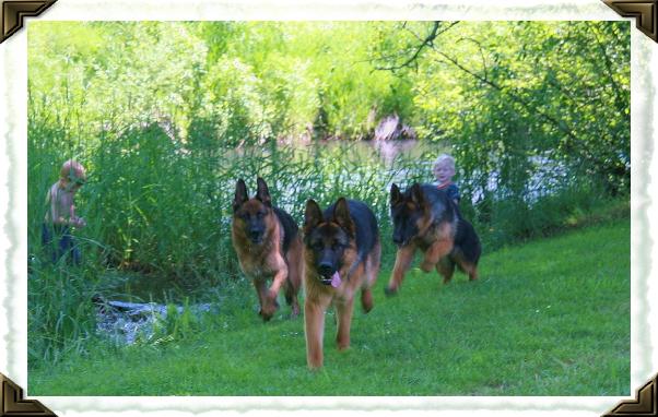 Bastian, Mica and Toska with Xavier and Isaac